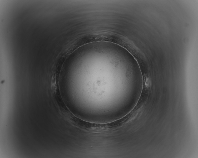 X0000101090771200806261451