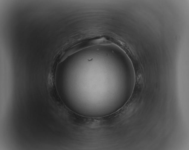 X0000101090772200806261451