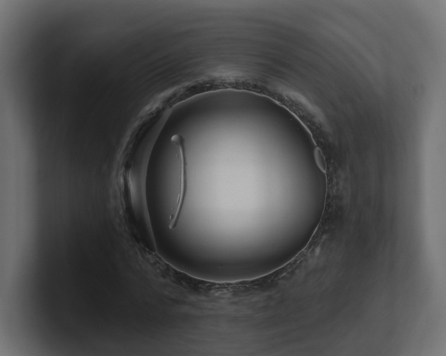 X0000101090776200806261451