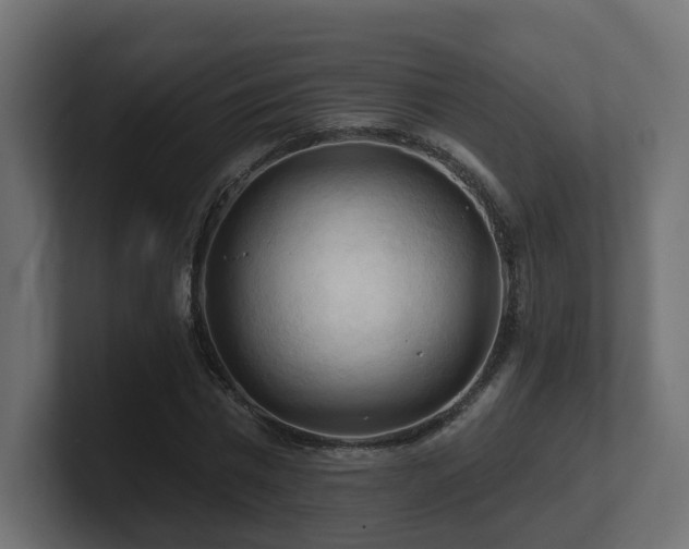 X0000101090777200806261451