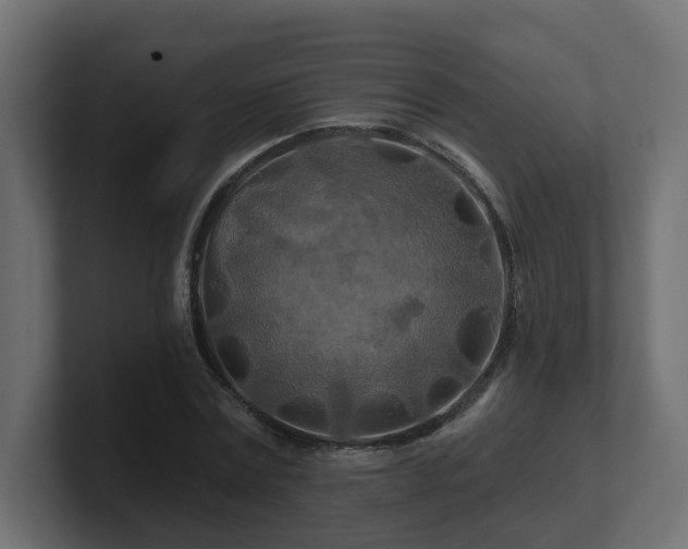 X0000101090779200806261450