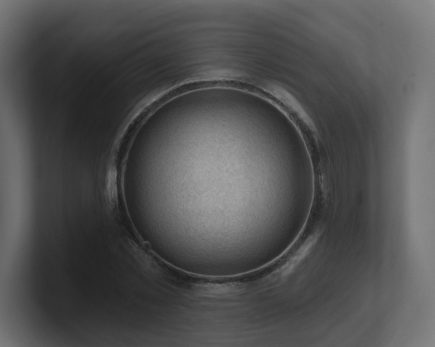 X0000101090781200806261450