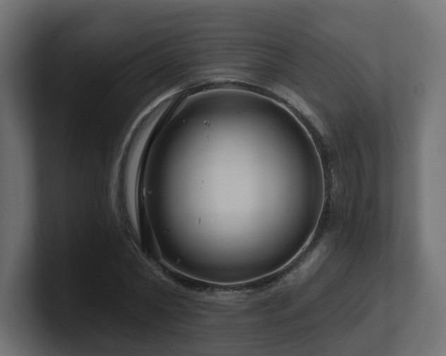 X0000101090782200806261450