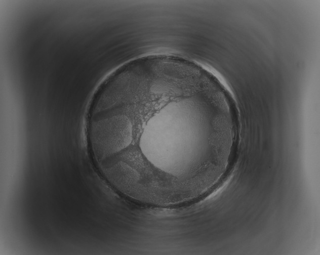 X0000101090783200806261450