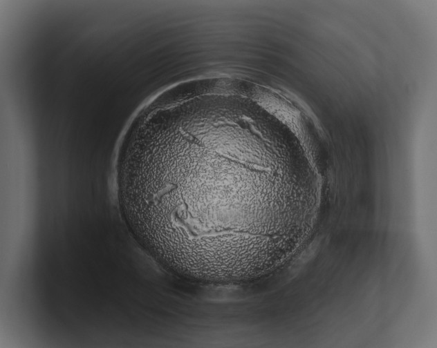 X0000101090784200806261450