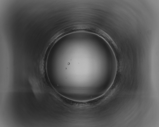 X0000101090786200806261450