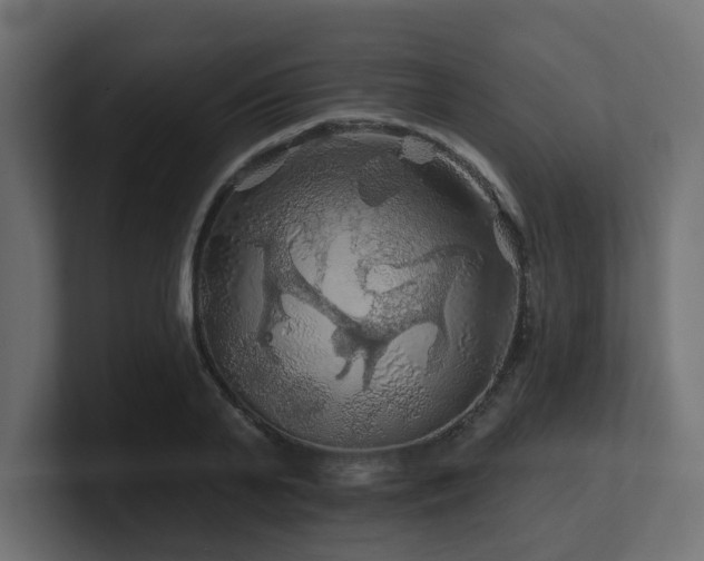 X0000101090791200806261450