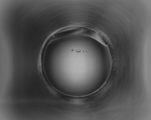 X0000101090792200806261450