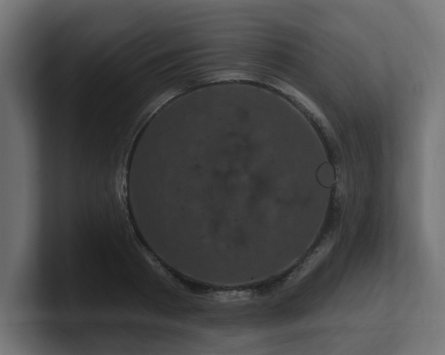 X0000101090793200806261450