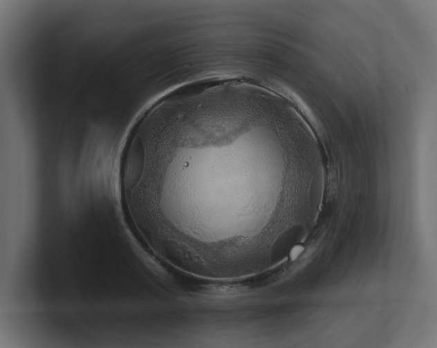 X0000101090795200806261450