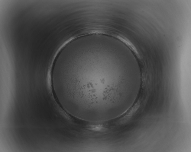 X0000101090798200806261450