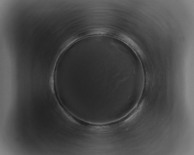 X0000101090802200806261450