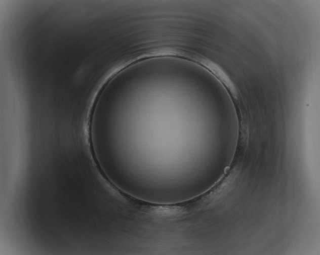 X0000101090805200806261450