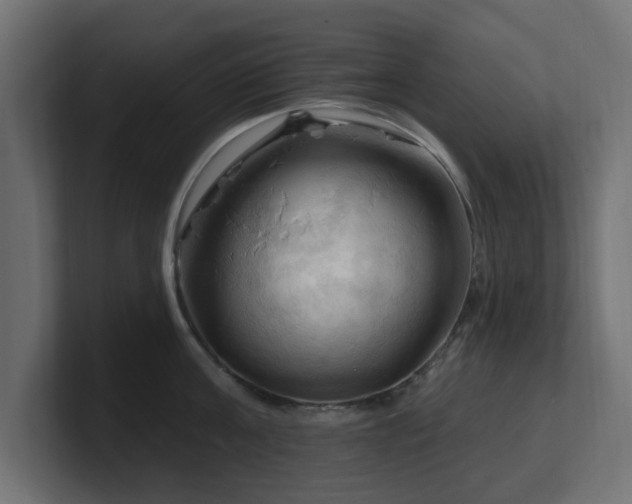 X0000101090811200806261450