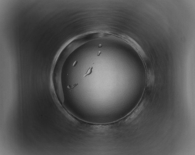 X0000101090812200806261450