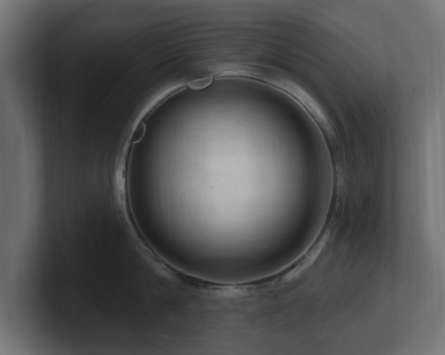 X0000101090814200806261450