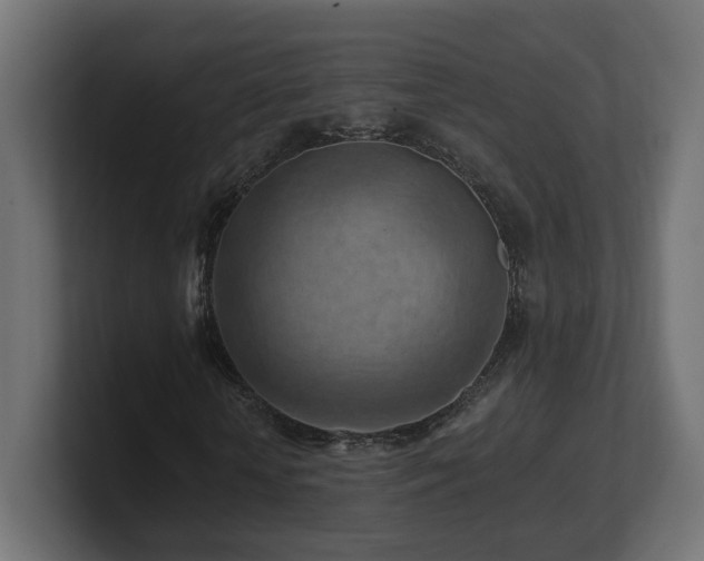 X0000101090818200806261449