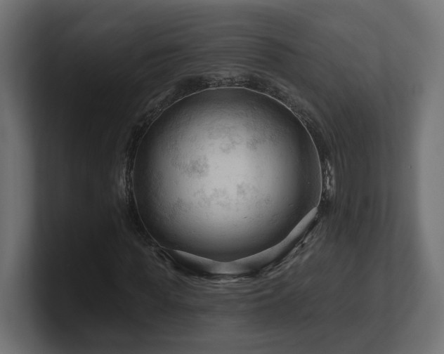 X0000101090819200806261449