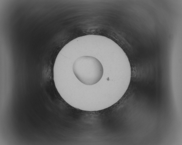 X0000101090820200806261449