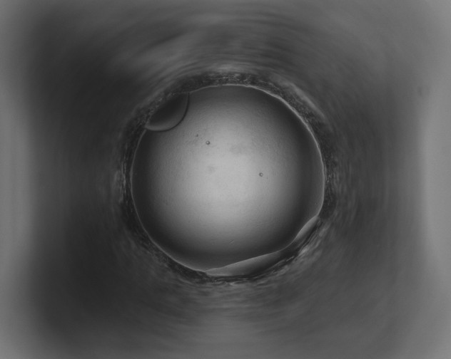 X0000101090821200806261449