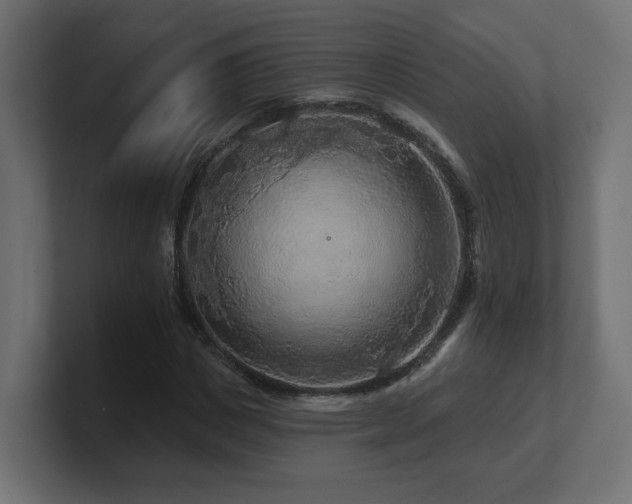 X0000101090825200806261449