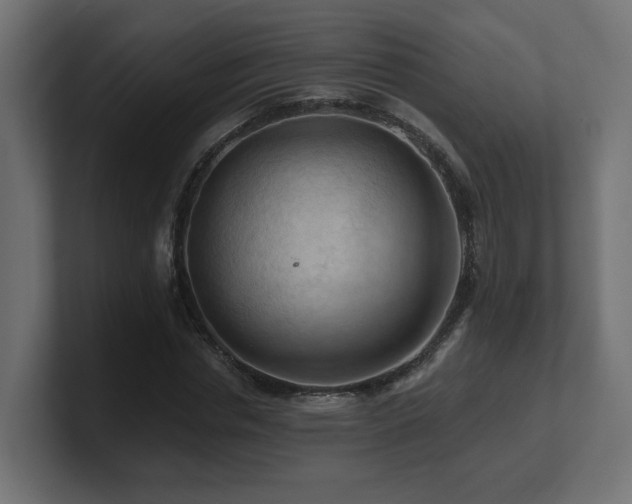 X0000101090826200806261449