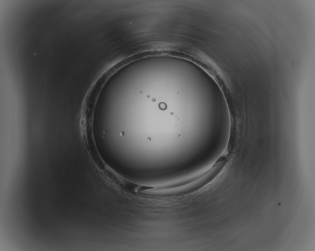 X0000101090827200806261449