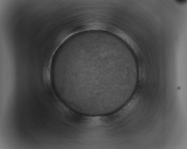 X0000101090828200806261449