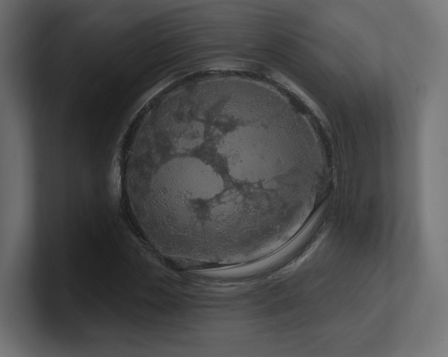 X0000101090829200806261449