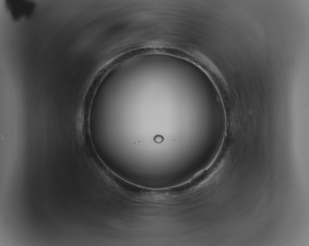 X0000101090831200806261450