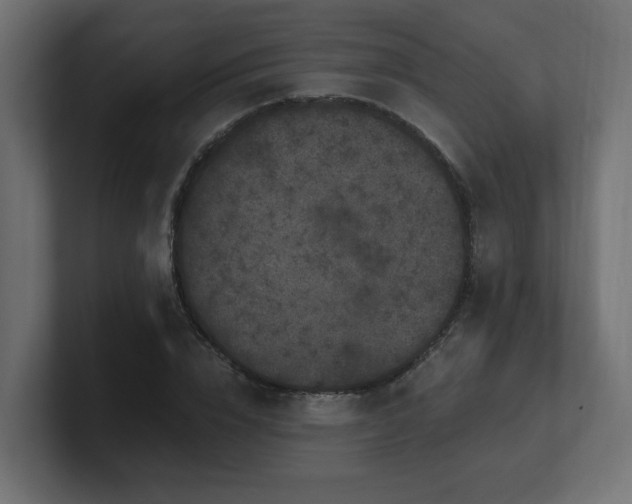 X0000101090832200806261450