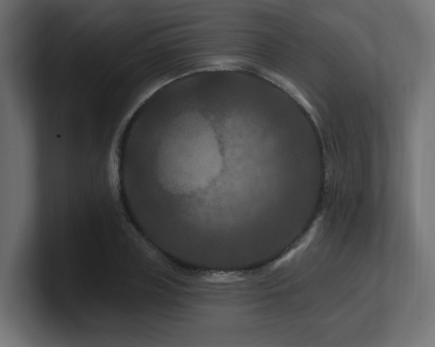 X0000101090835200806261450