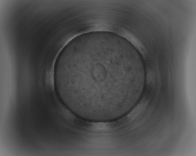 X0000101090836200806261450