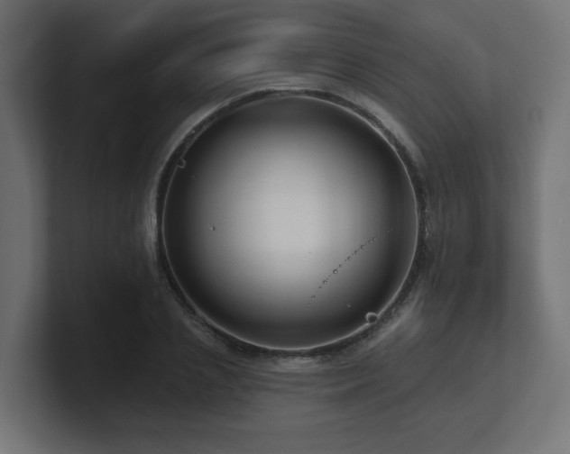 X0000101090837200806261450