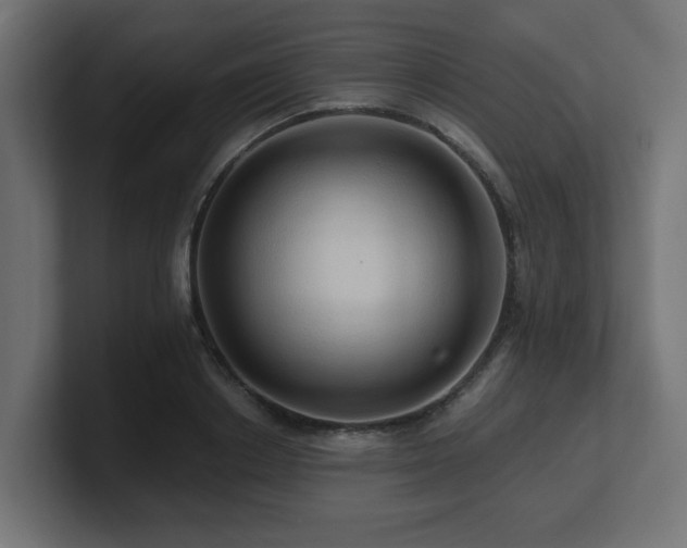 X0000101090842200806261450