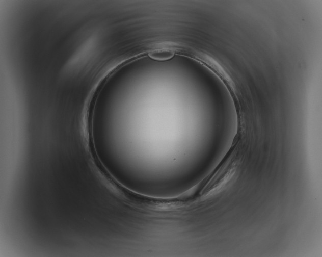 X0000101090843200806261450