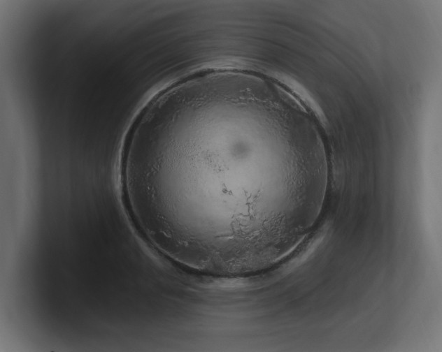 X0000101090845200806261450