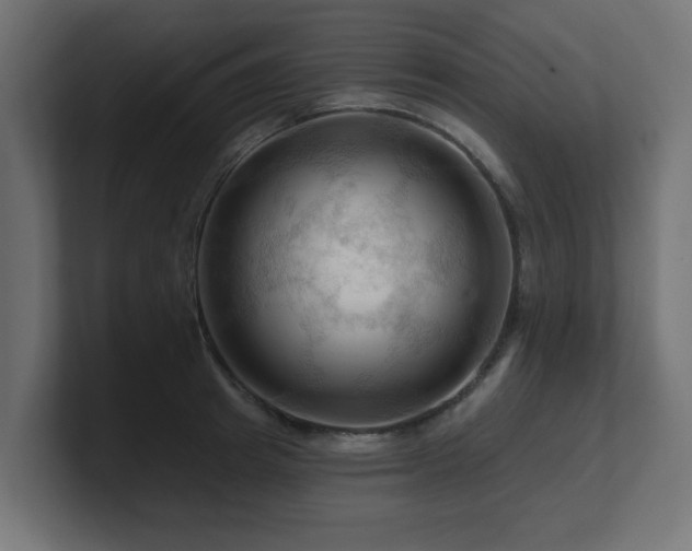 X0000101090849200806261450