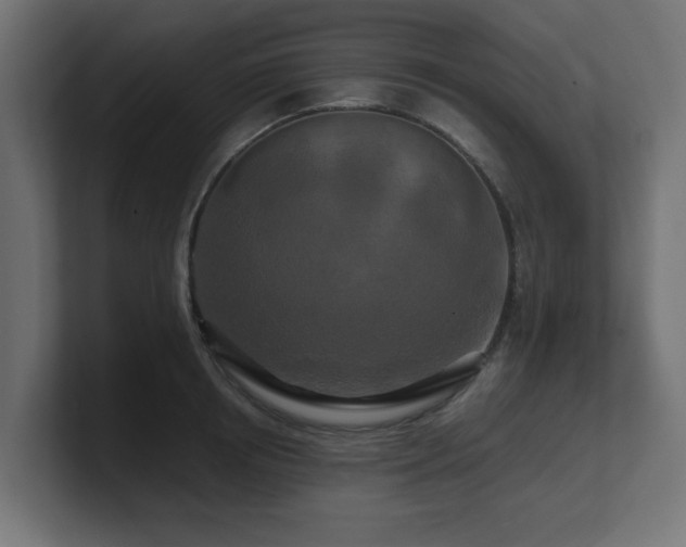 X0000101090850200806261450