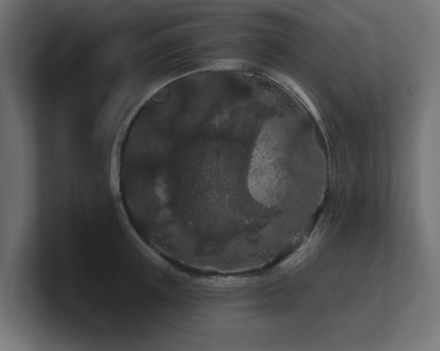 X0000101090851200806261450