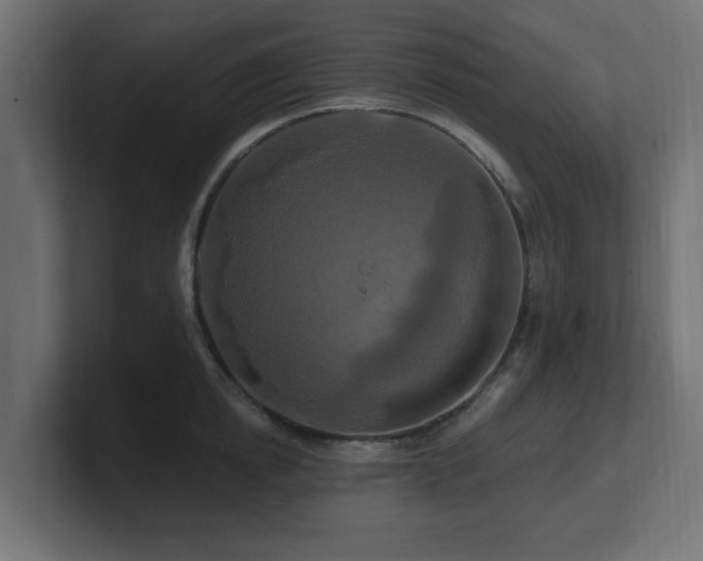 X0000101090854200806261450