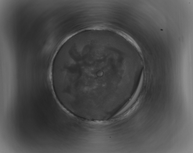 X0000101090855200806261450