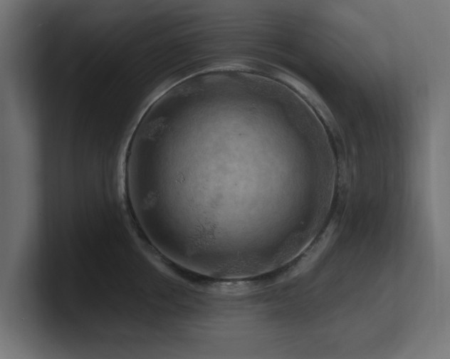 X0000101090858200806261450