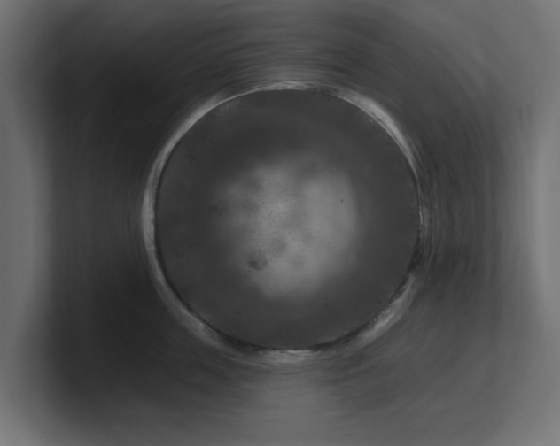 X0000101090859200806261450