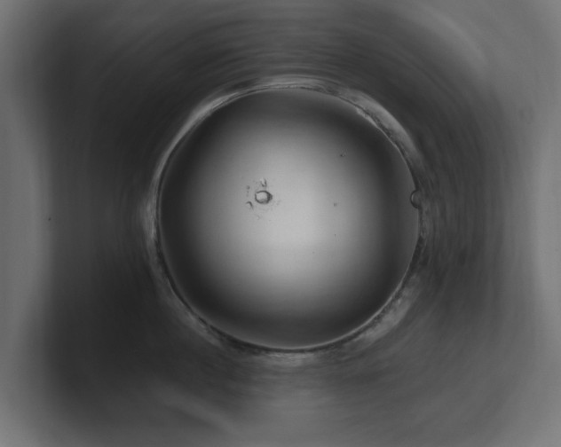 X0000101090860200806261450