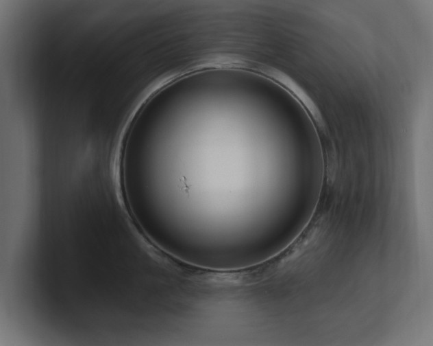 X0000101090861200806261450