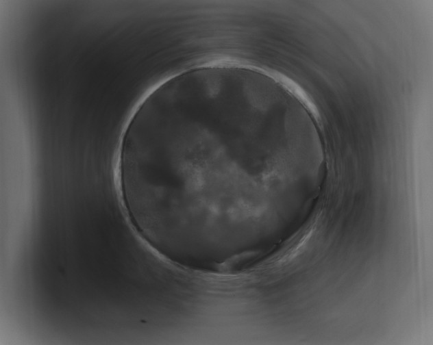 X0000101090863200806261450