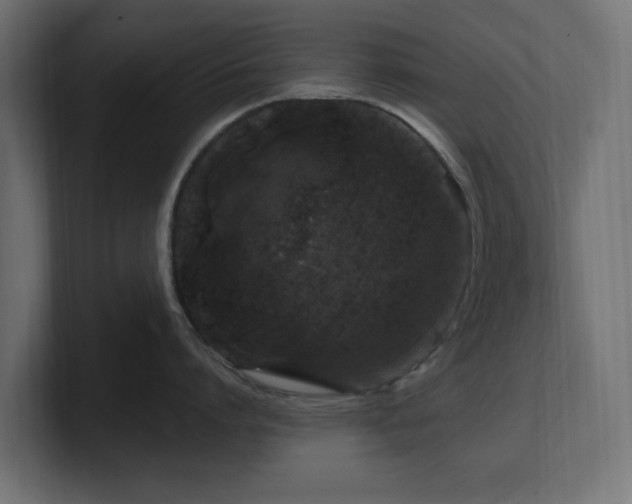 X0000101090864200806261450