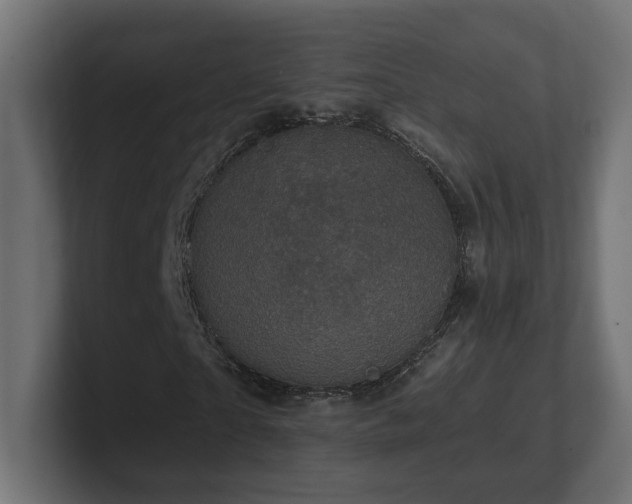 X0000101090865200806261449