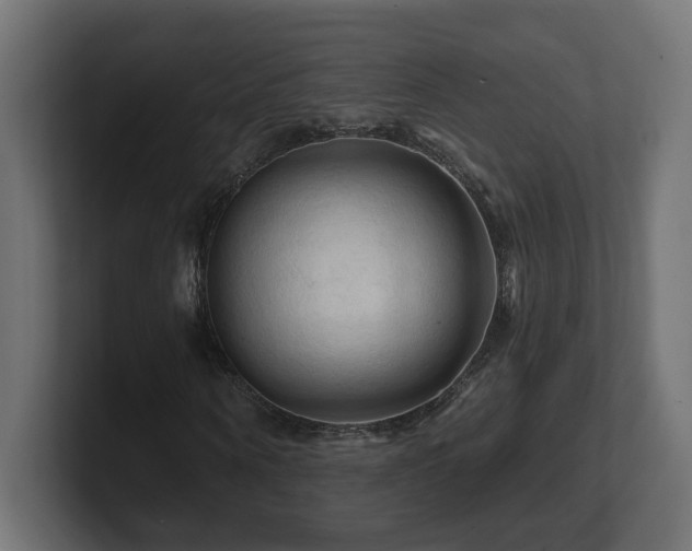 X0000101090866200806261449